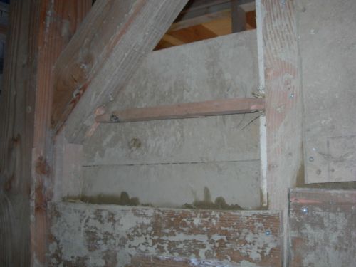 DSCN3379.jpg