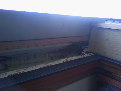 20121030_113438.jpg