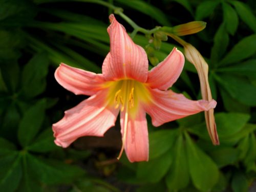 20030101_70.JPG