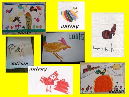 dessins coq