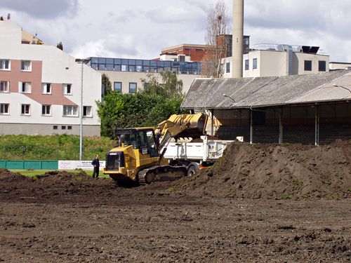 pelouse de bauer 2