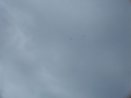 8-010.jpg