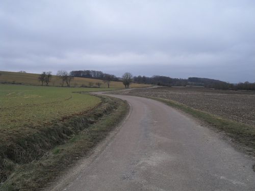 8-014.jpg