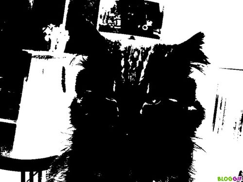 bloggif 4b60a5a07f9bb