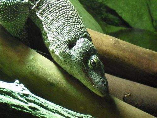 zzzzzzzzzzz-068.jpg