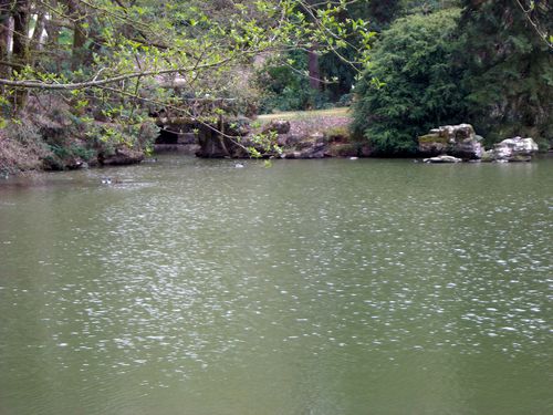 DSCN0981.JPG