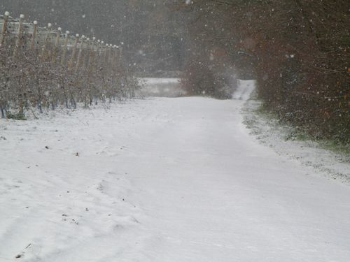 neige ds la campagne tombe la neige