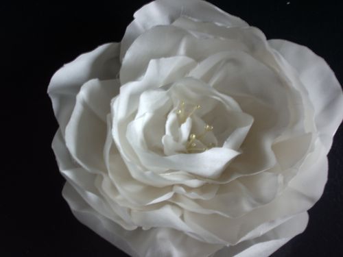TGrand-Camelia-soi.JPG