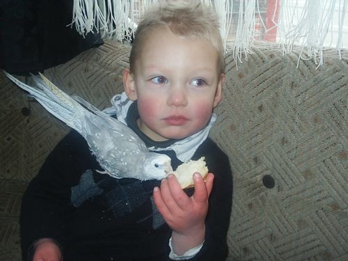 Aaron et Choupette (3)
