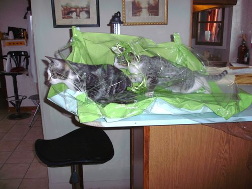 BILD1680