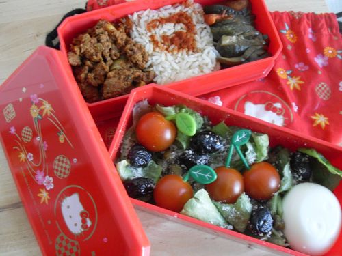bento cammie#40-copie-1