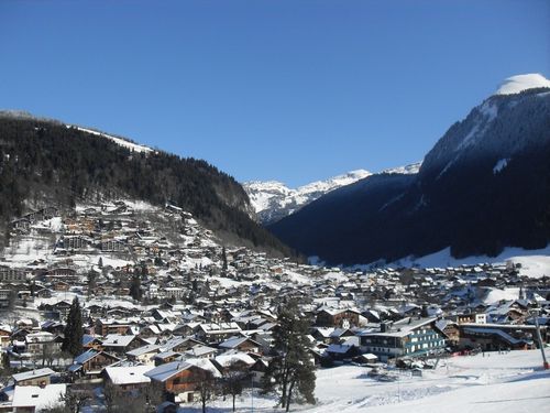 SDC14785.JPG