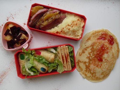bento cammie#26 dexter