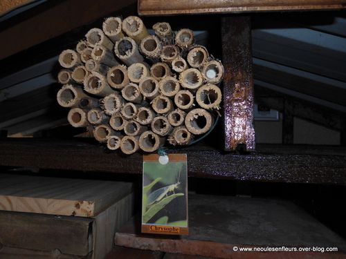 Hotel nichoir pour abeilles et insectes pollinisateurs (16