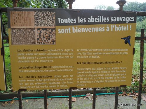 Hotel-nichoir-pour--abeilles-et-insectes-pollinisateurs--2-.jpg