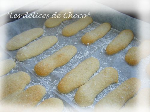 Biscuits a la cuillère