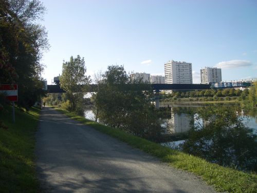 dsm 009