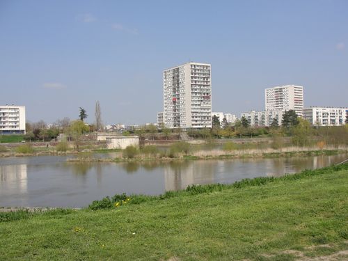 DSC03505