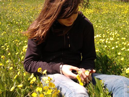 Photo1516