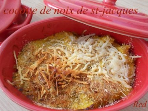 cocotte st-jacques2