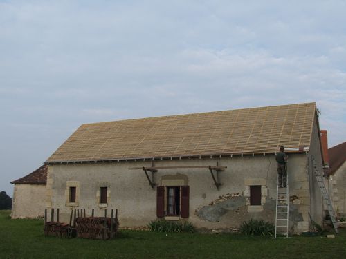 DSCF0748.JPG