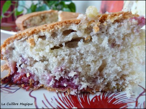 Gâteau rhubarbe framboises 009