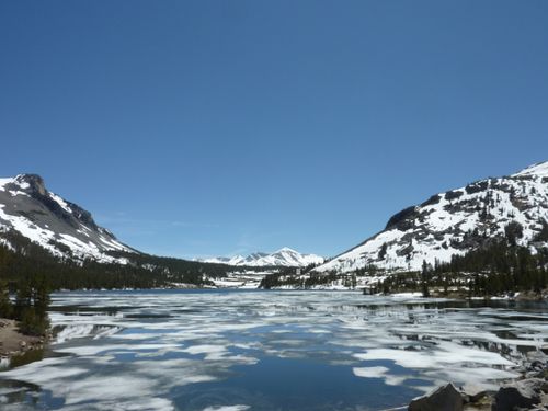 Yosemite National Park (115)