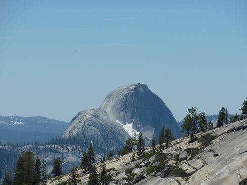 Yosemite National Park (98)