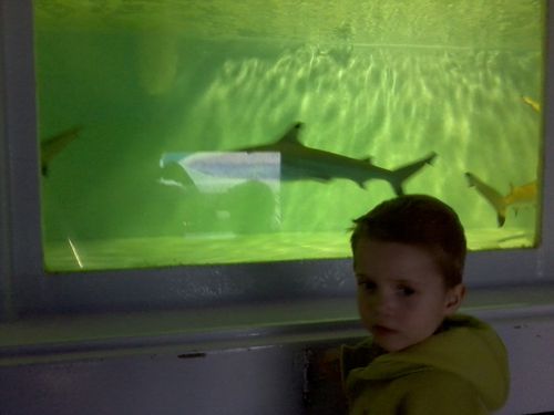 Photo0066