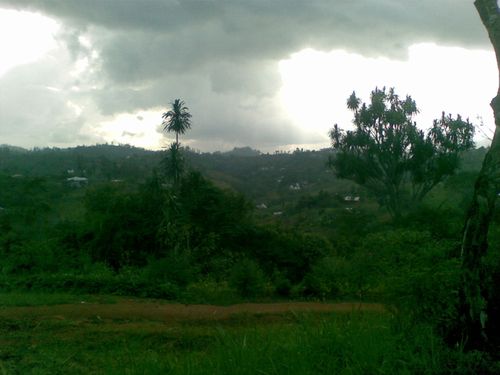 20112009-033-.jpg