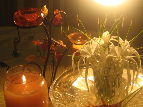 boutons-de-fleurs 1215