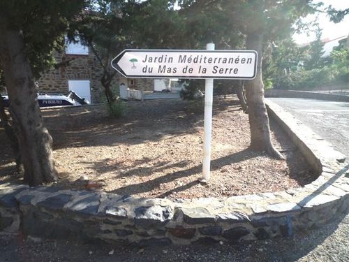 jardin 1