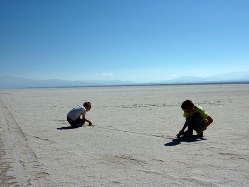 6 Route vers le Chili - Salinas Grandes 12