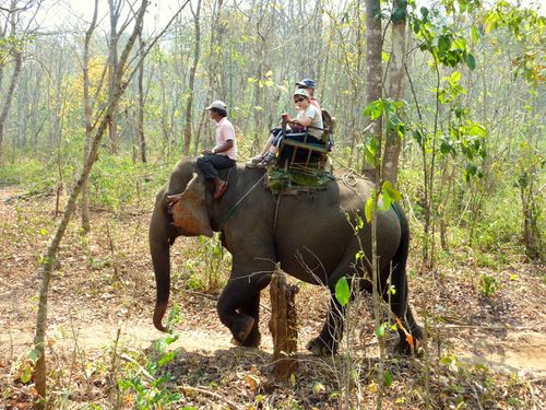 05 Chiang Mai - Camp éléphants 16