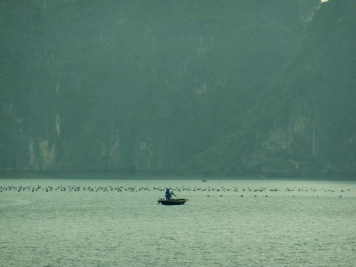 05 Halong - Ballade sur la baie 84