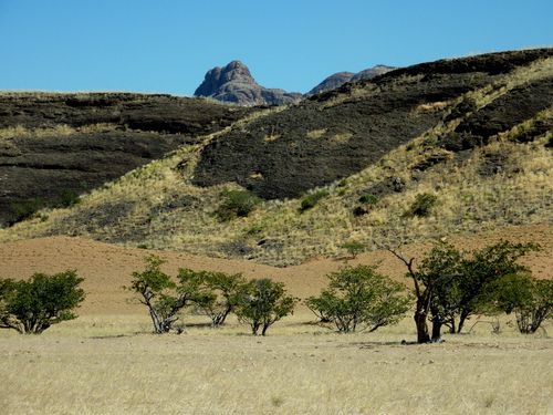 03 Kaokoveld - Sesfontein 13