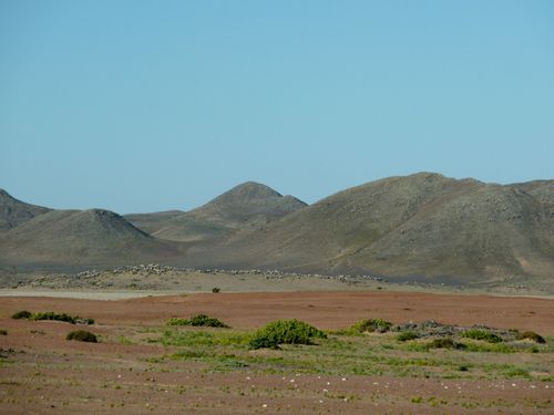 04 Skeleton coast - Bord de mer 02