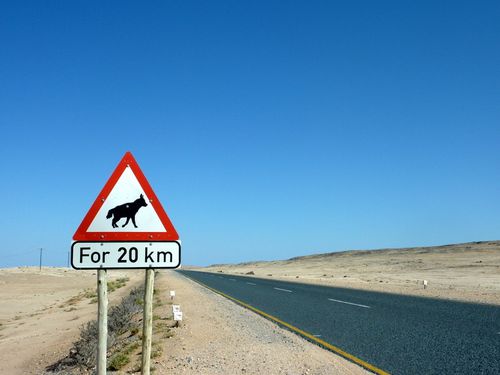 07 Namtib - route de Luderitz 08