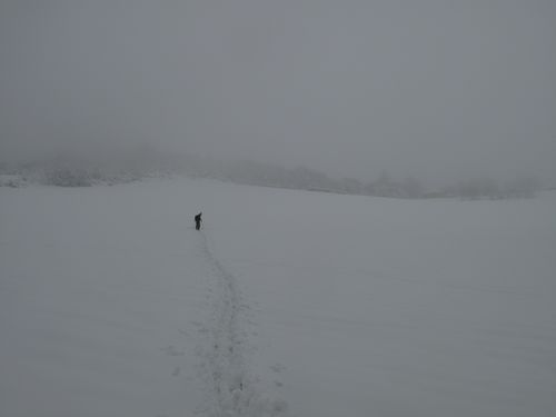 appennino-bolognese 0983