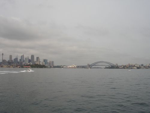 DSC05429.JPG