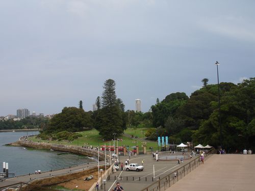 DSC05474.JPG