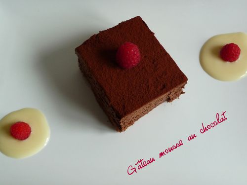 Gateau mousse4
