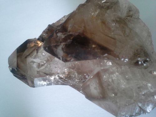 Quartz jacare
