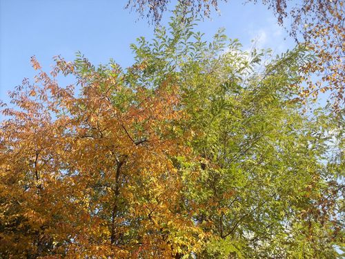 sous le soleil2