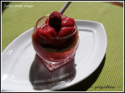 010-copie-3.JPG