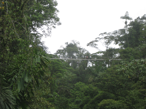 Costa-Rica-2012 7619