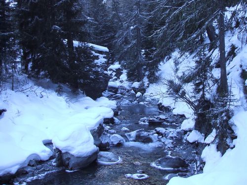 2010-12-17 Vallorcine 4
