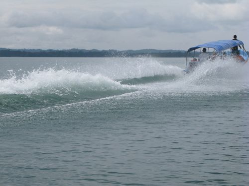 Deuxieme-croisiere-20-janvier-au-5-fevrier-2010-5519.JPG