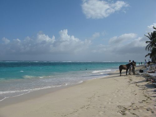 Deuxieme-croisiere-20-janvier-au-5-fevrier-2010-6007.JPG
