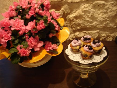 DSC07773-copie-1